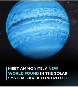 👑 Mistress Ammonite: Now Available in Outer Space 💎