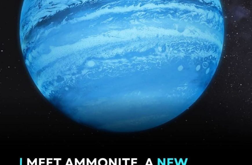 👑 Mistress Ammonite: Now Available in Outer Space 💎